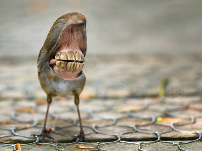 Создания, которых страшно было бы встретить