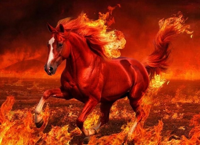 Рік Вогняного Коня: час великих змін та неймовірної удачі для 4 знаків
