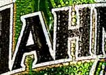 P (2)