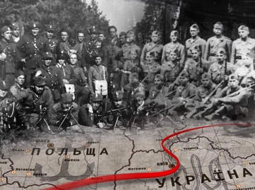 Госкино