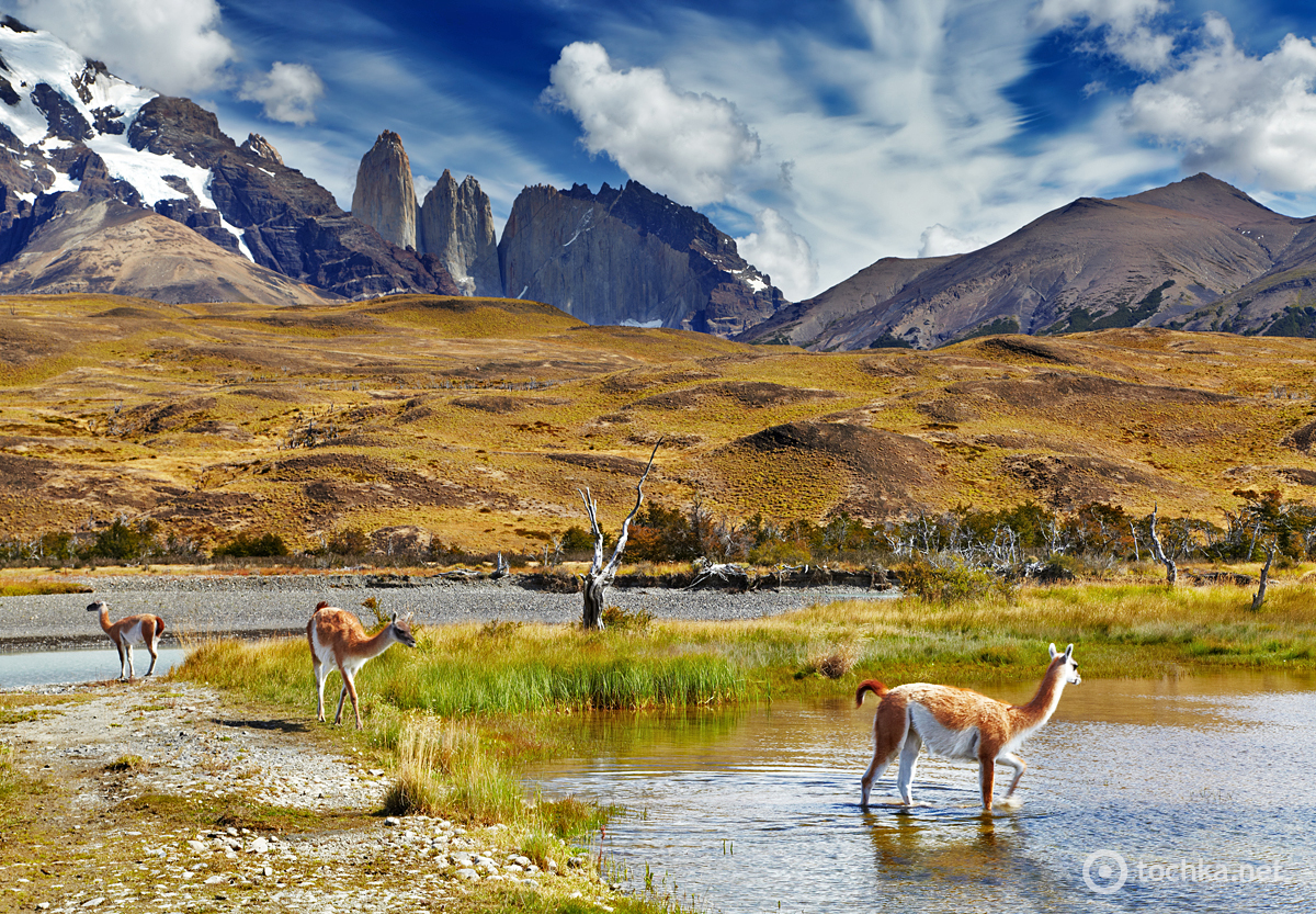 Торрес-дель-Пайне, Чилі