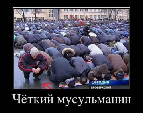 Демотиваторы на сегодня