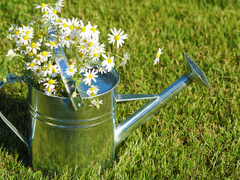 Яке свято відзначають 9 липня