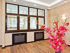 Как пересадить орхидею без вреда для растения