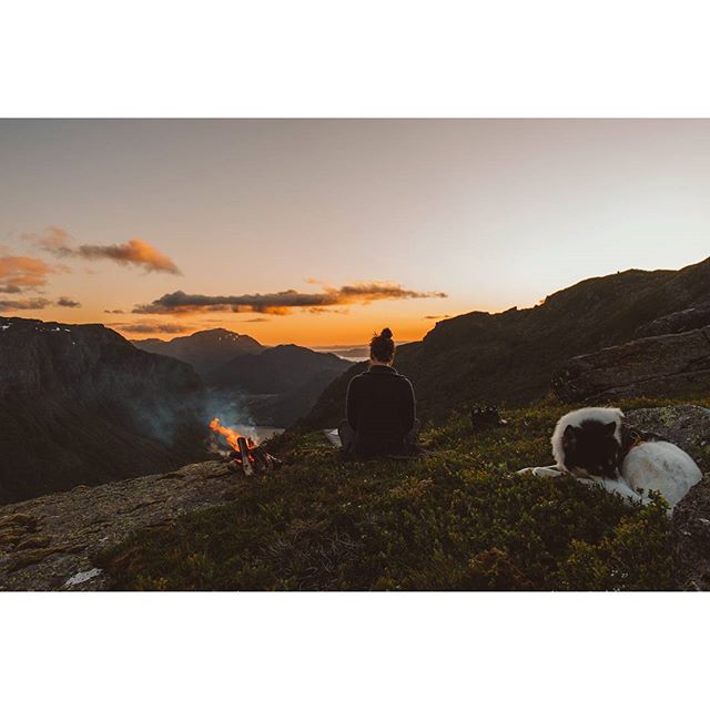 хаскі Акіак 