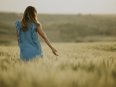 День Петра і Павла