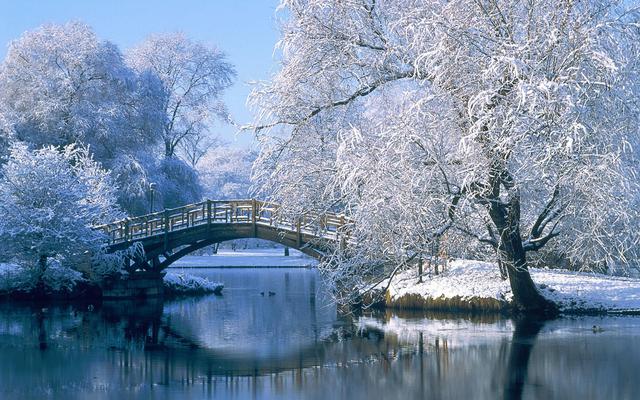 Мост в зимнем парке