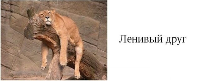 Категории друзей