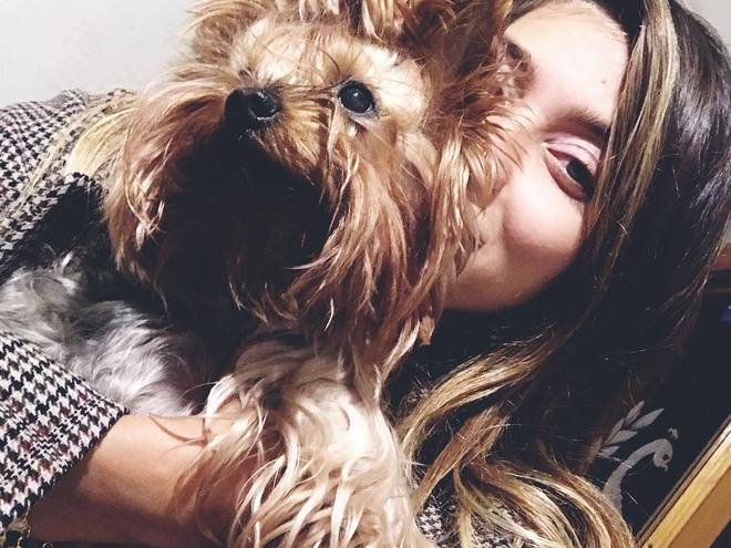 звездные питомцы