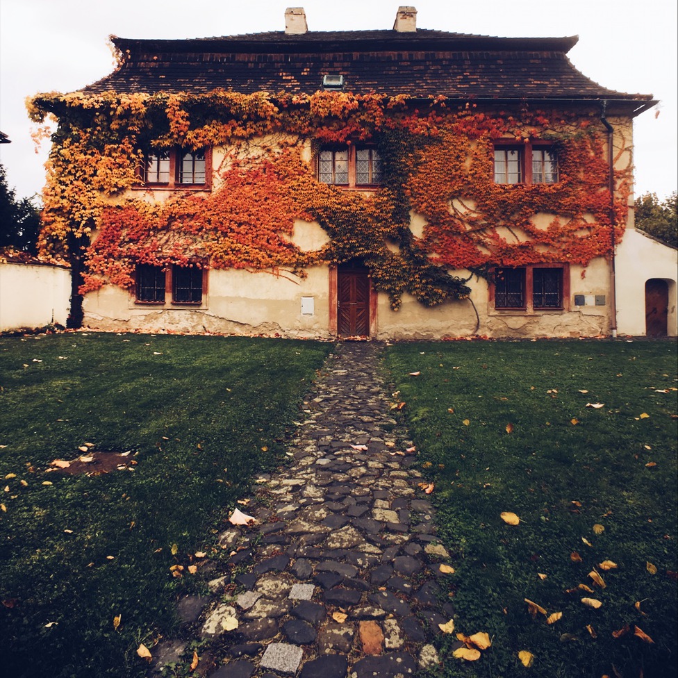 мобилография Артем Широков