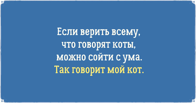 ТОП 10 приколов про котов