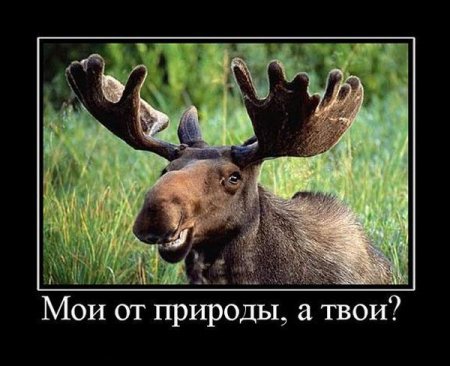 Подборка демотиваторов