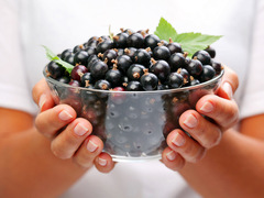 Чем полезна смородина черная?