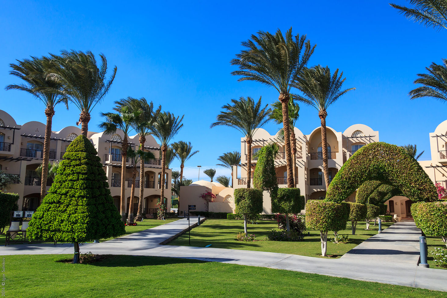 Єгипет, готель Jaz Makadina