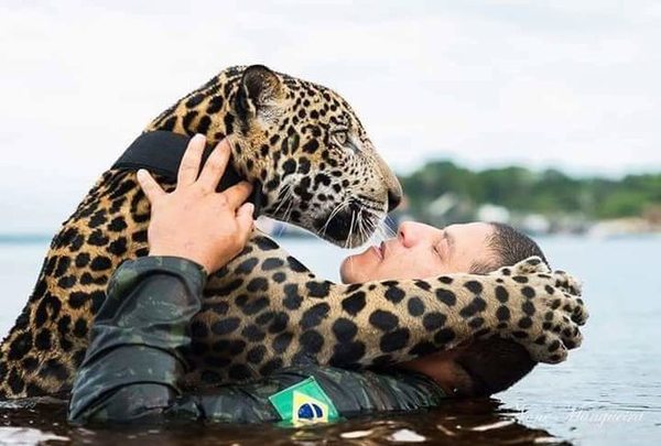 Бразильские солдаты спасли ягуара во время наводнения