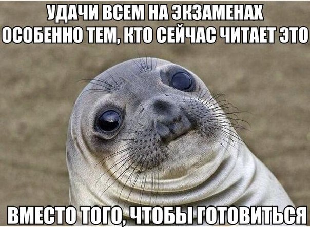 Удачной сессии для лентяев