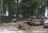 Flatout отдыхает