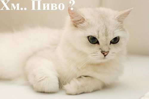 Комикс про пятницу