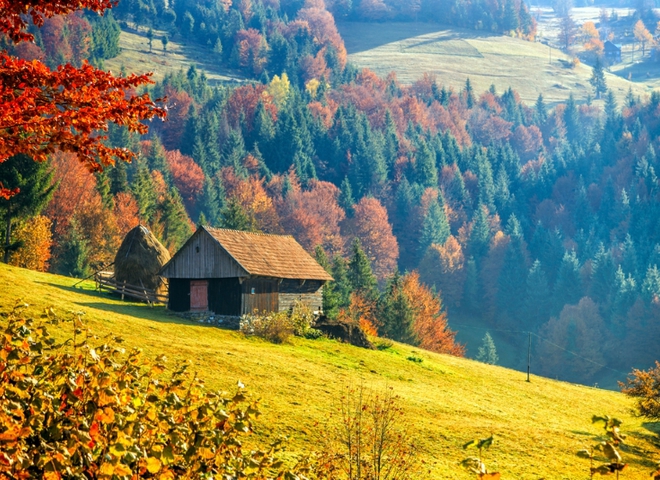 Карпаты село