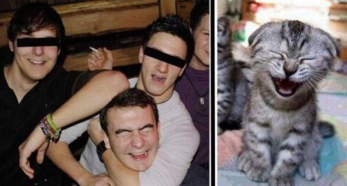 Жизненные фотоприколы