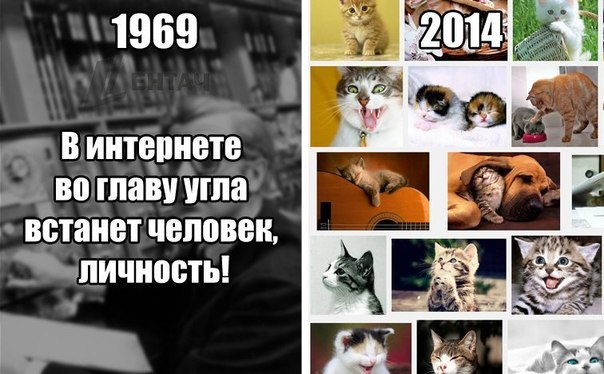 Интернету стукнуло 45 лет