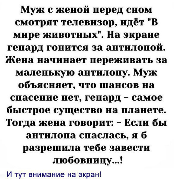 Антилопа и любовница