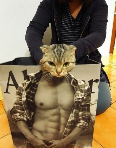 Выходки животных