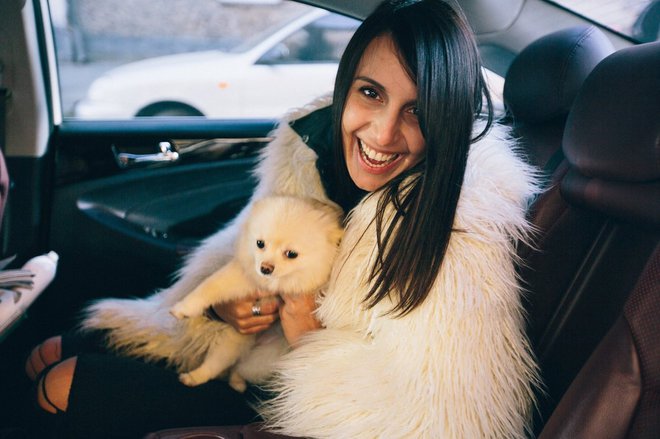 Собаки зірок