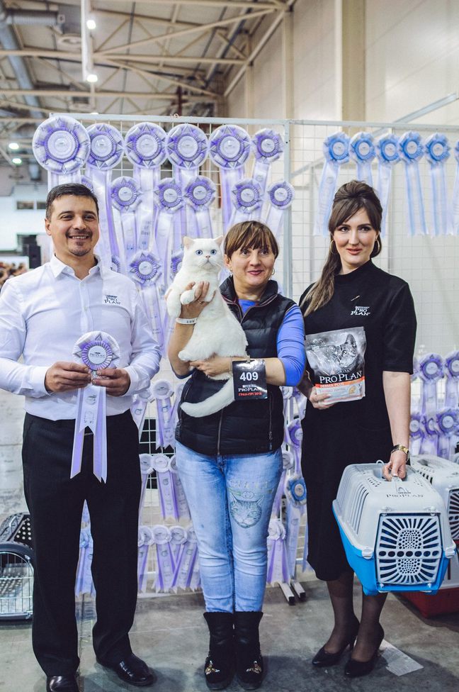 Міжнародна виставка котів Pro Plan® Гран Прі 2018