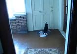 Кот ненавидит почту!
