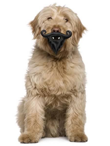 Мания на усы