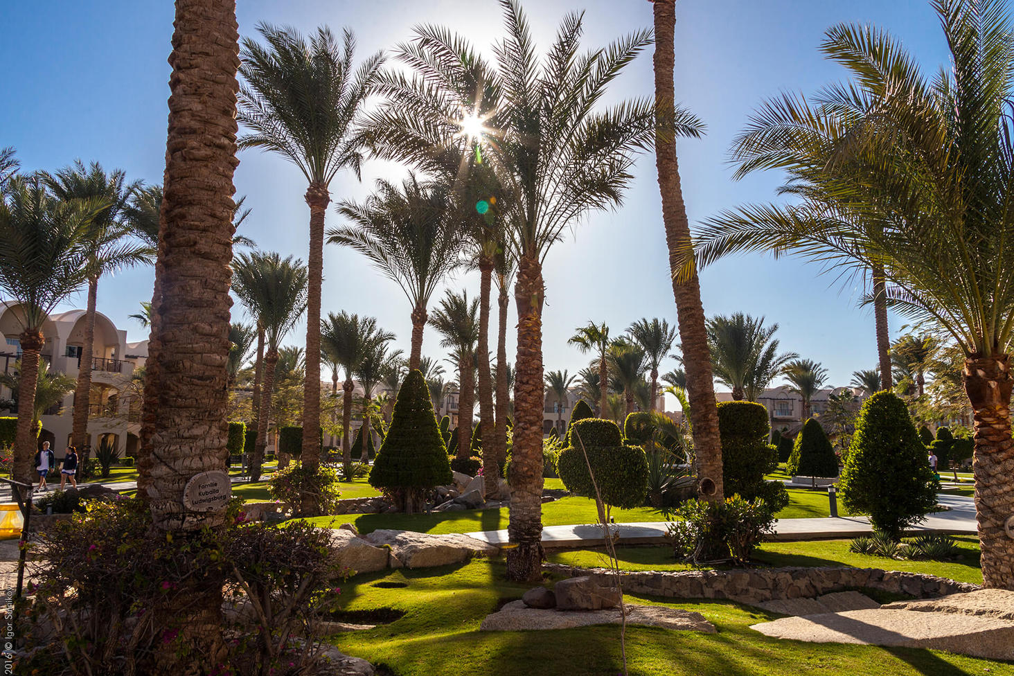 Єгипет, готель Jaz Makadina