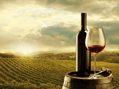 Как приготовить вино самостоятельно