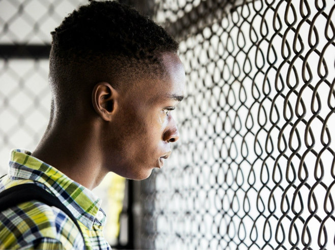 Лунный свет