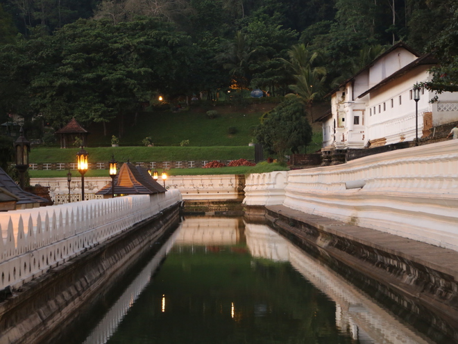 Дмитрий Каднай о Шри-Ланке: все, что вы не прочитаете в путеводителе об острове