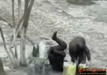 п’яна бабуля