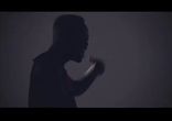 The Fly Democracy - The Intro