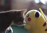 BUB MEETS PIKACHU