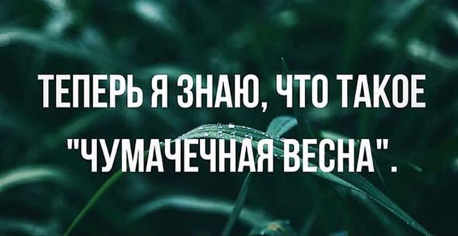 Коронавирус и чумачечная весна