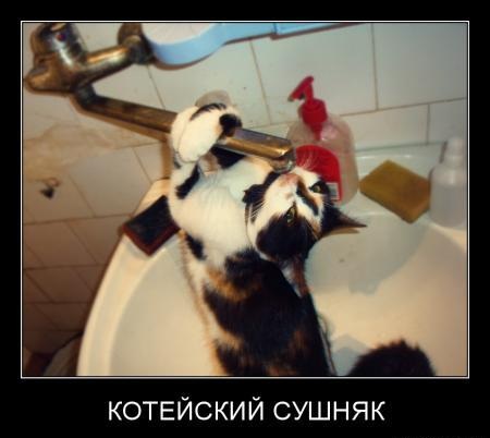 Прикольные демотиваторы