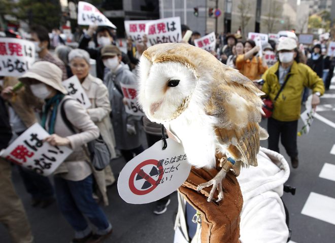 Протесты в Токио