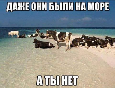 Даже они были на море