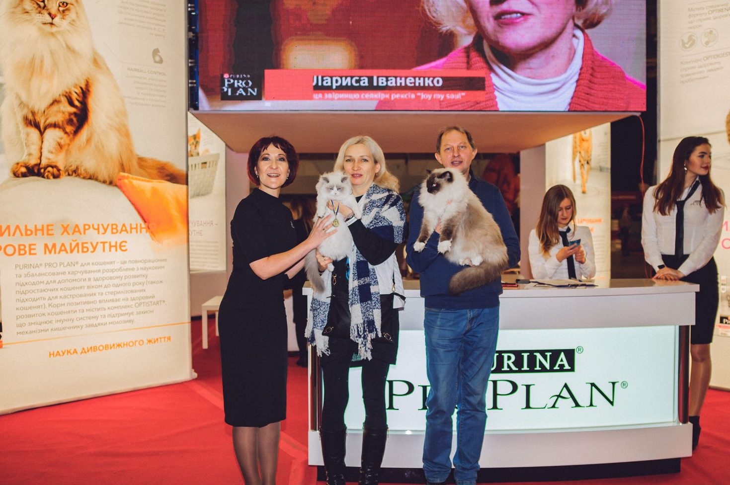 Міжнародна виставка котів Pro Plan® Гран Прі 2018