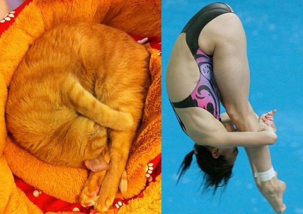 Олимпийские карикатуры