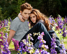 Кадры из фильма Сумерки Сага Рассвет. Часть 2