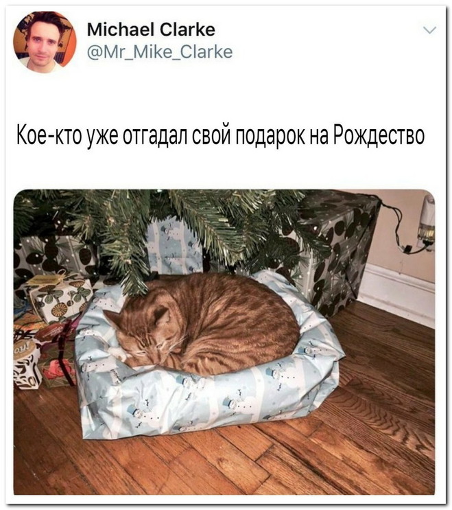 Комментарии из соц. сетей