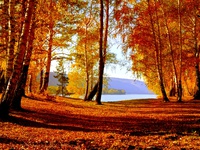 Осенний лес и озеро