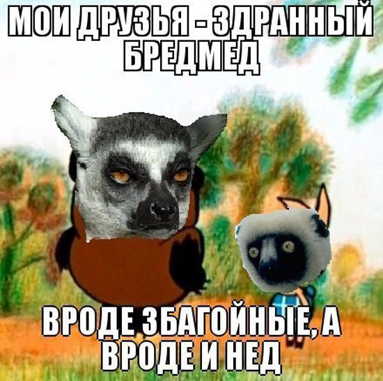 лемур узбагойся фото приколы онлайн лемур узбагойся фото приколы