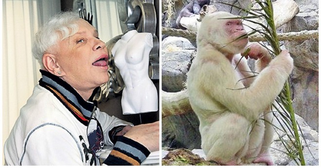 Двойники среди мира животных