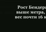 Моддинг в стиле Футурама    